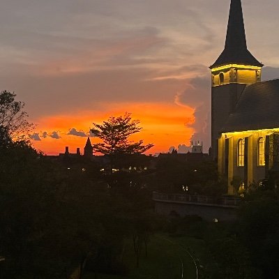 zhi940699568561's profile picture. 