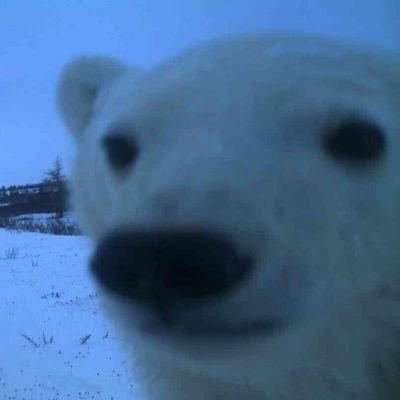 Benjax232's profile picture. 