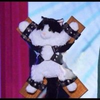 Twisted Thoughts (@quirkyth0ughts_) 's Twitter Profile Photo