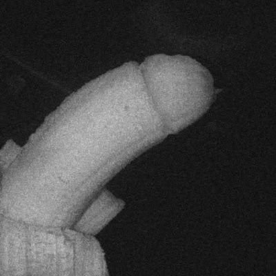 Tyoki743953's profile picture. 