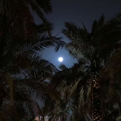 FatenThagfi's profile picture. وأفوض أمري إلى الله