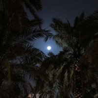 faten al thagfi (@fatenthagfi) 's Twitter Profile