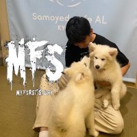 wow_yoh (@tmythemorment) 's Twitter Profile