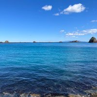 たけエース (@takeace_5000) 's Twitter Profile