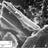 SwanseaTephra's profile image