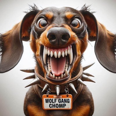@Wolfgangchomper