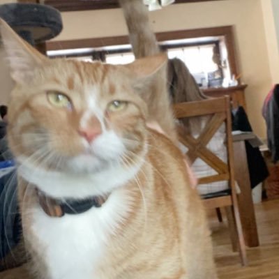 firefoxfucks's profile picture. I wanna be the very best