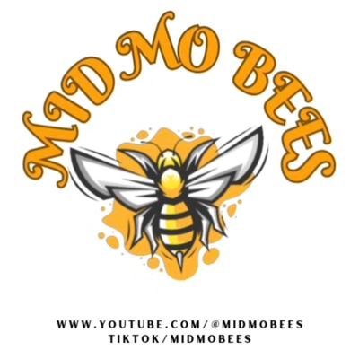 midmobees's profile picture. 4 year beekeeper and small farmer