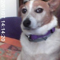 SkeletonBay.sol (@skeletonba46006) 's Twitter Profile