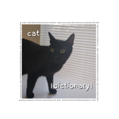 daCatDictionary's profile picture. We are cat dictionary! Members: @LucasMeansLuz / @THEIRONICE @theonekingboo @decent_games381 @mynameisvelk @namebesustavo