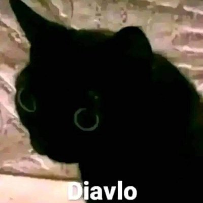 Josuera67288414's profile picture. 