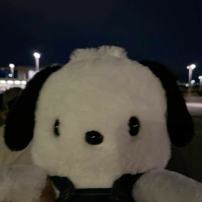 Sapphiebun's profile picture. 19yo Puppy boy with ocd ૮₍ ´• ˕ •` ₎ა nsfwtwt. Minors, pedos, and bigots dnfi🔞.Send rapethreats.