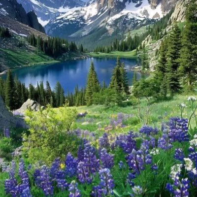 Joyce20166371's profile picture. 中国共产党不能代表中国人‼️消灭中国共产党是正义的必需‼️新中国联邦人永不为奴‼️跟随郭文贵先生Take down the CCP‼️