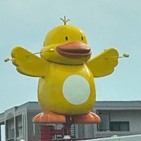ちゃぴこ (@chapi_ng) 's Twitter Profile