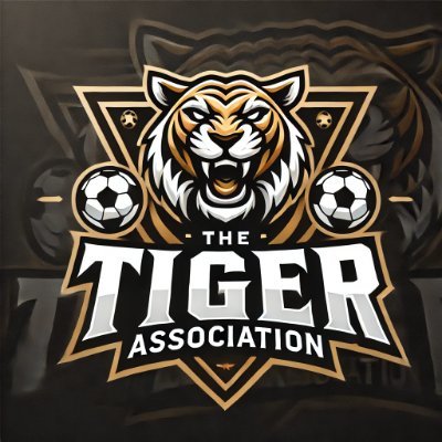 nikhilch1396's profile picture. Ex - Marketing and Partnerships @playmfl
The Tiger Association @playmfl
