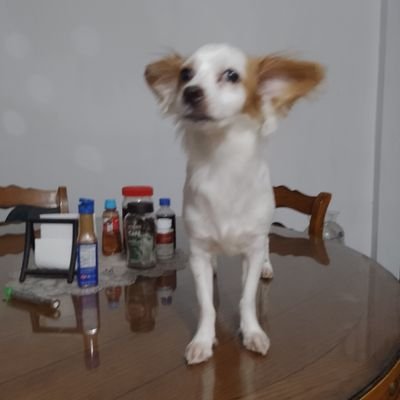 JhonWic64265722's profile picture. runner caza fifis vendepatrias 🇲🇽🇲🇽🇲🇽