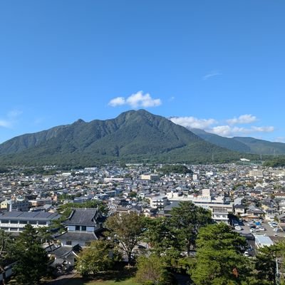 toko_bokuri's profile picture. 