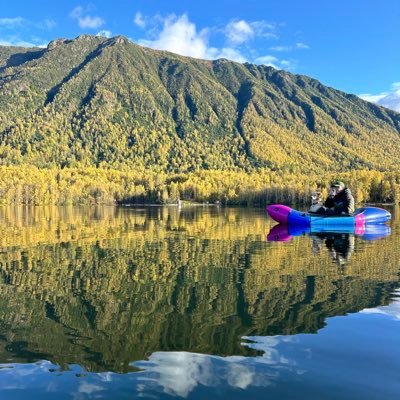 ryan_bridgford's profile picture. a mavs fanatic