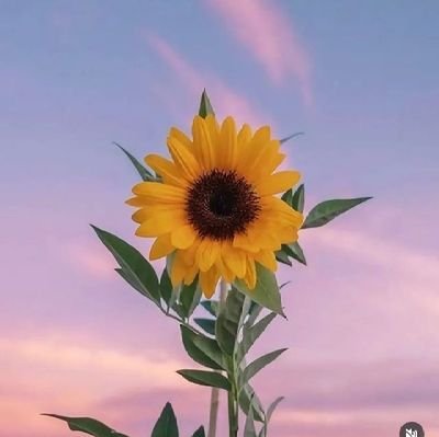 suka suka hati aja✨