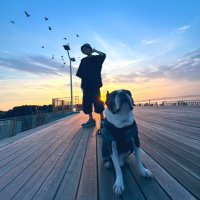 dyki / 다이키 ⟬⟭ 🗯 (@dyki) 's Twitter Profile Photo