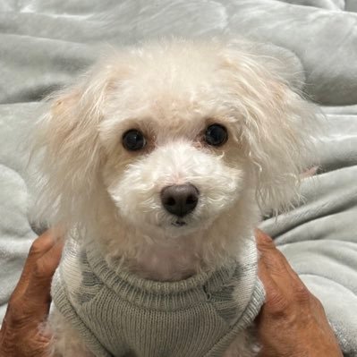 QruCdg1Umt5248's profile picture. DA PUMP大好き❤️💙💛💚🧡🤎 ISSA推し❤️ 宜しくお願いします😊