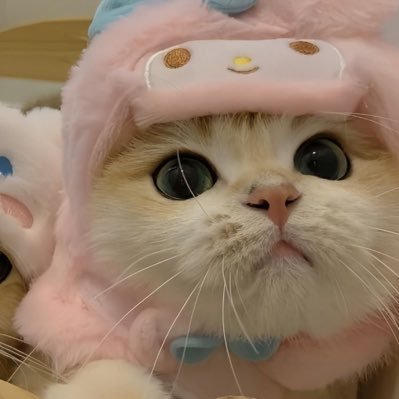 sdais__'s profile picture. @x2916x