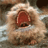 geldverdienst's profile image