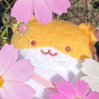 suyao/すやはむアルバム (@sysysuyao2) 's Twitter Profile