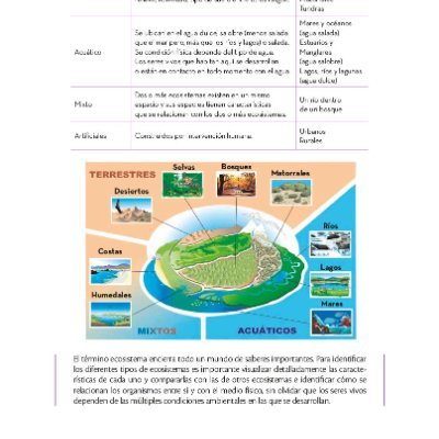 ArquiSBP's profile picture. Solo somos personas gobernadas o por la mente o por el miedo