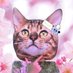 haruzwei (@dragonianlover) Twitter profile photo haruzwei (@dragonianlover) Twitter profile photo