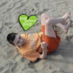 Momma Switch BSc (Hons) (@care2twit) Twitter profile photo Momma Switch BSc (Hons) (@care2twit) Twitter profile photo