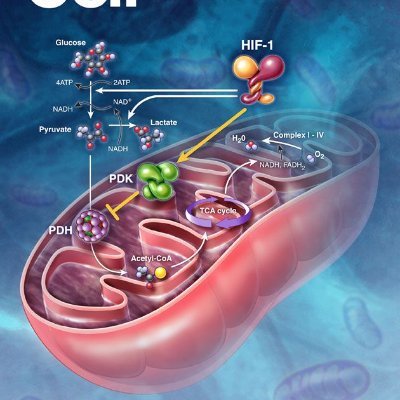 GETACHEWGI5's profile picture. 