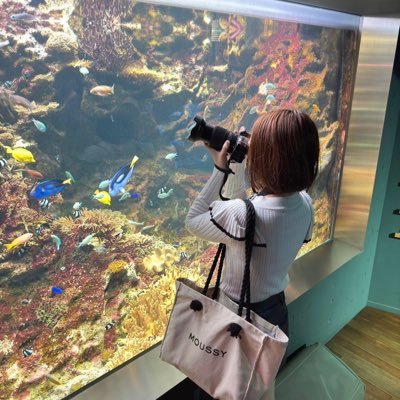 とある水族館飼育員🔰