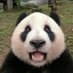ggglink (@qiangli99683992) Twitter profile photo ggglink (@qiangli99683992) Twitter profile photo