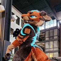 𝘿Σ𝙇𝙏𝘼 🔜FWA (@alphakraftc) 's Twitter Profile Photo 𝘿Σ𝙇𝙏𝘼 🔜FWA (@alphakraftc) 's Twitter Profile Photo