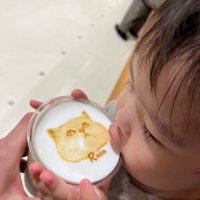 きぬ (@kinu_z2) 's Twitter Profile