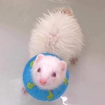 ざくさんのプロフィール画像