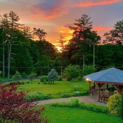 banasenadesene's profile picture. 