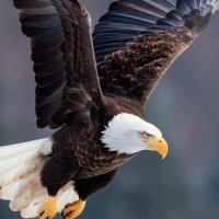Bady Bady (@badysabah18762) 's Twitter Profile