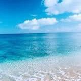 Zaza2025499230's profile picture. 