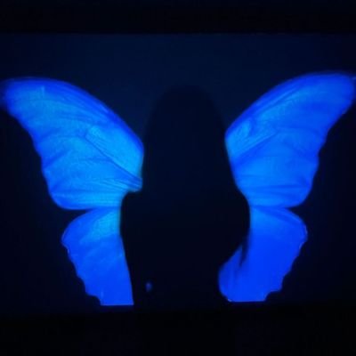 raramikasa's profile picture. definitelynot_aira