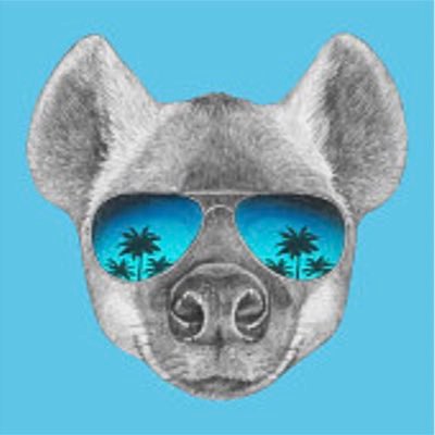 91hDkfm0qhokUNU's profile picture. 