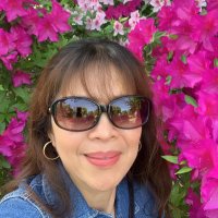 NFT Dashout (@nftdashout72645) 's Twitter Profile