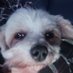 JohnWinstonHoward (@johnwinsthoward) Twitter profile photo JohnWinstonHoward (@johnwinsthoward) Twitter profile photo