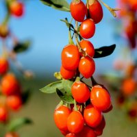 🇨🇳视觉采风者🇨🇳 (@caifengzhe88) 's Twitter Profile Photo