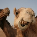 Simon James - @spirite_uk - Twitter