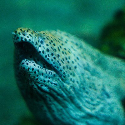 きのっこさんのプロフィール画像