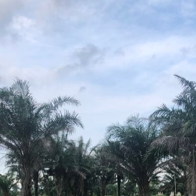 MamaziiN39784's profile picture. I see life scenes in movies | FilmEditor | Creative Director & DOP