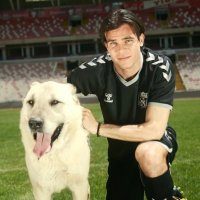 DİNAMO_HARİSİS (@dgner58) 's Twitter Profile Photo