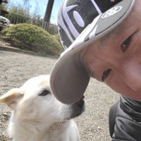 ひろぽん🐶 (@9069unicorn) 's Twitter Profile Photo ひろぽん🐶 (@9069unicorn) 's Twitter Profile Photo